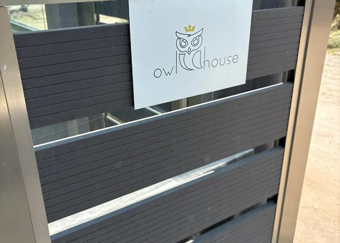 Owl House *